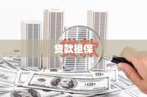 松溪贷款担保