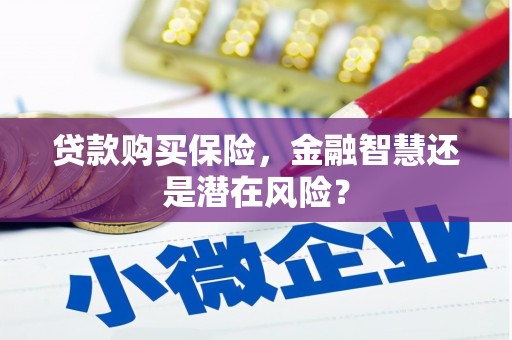 松溪贷款购买保险，金融智慧还是潜在风险？