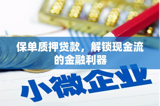 松溪保单质押贷款，解锁现金流的金融利器