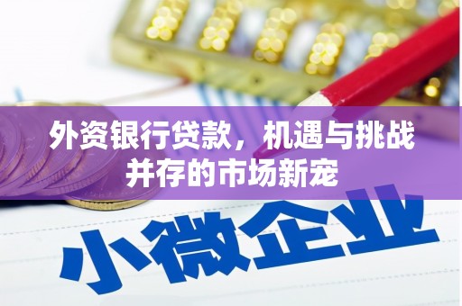 松溪外资银行贷款，机遇与挑战并存的市场新宠
