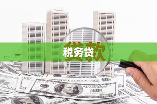 松溪税务贷