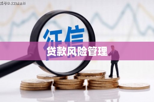 松溪贷款风险管理