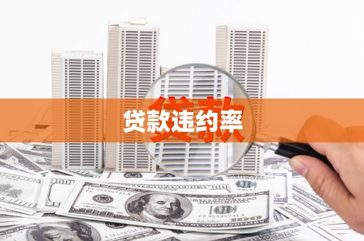 松溪贷款违约率