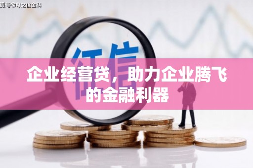 松溪企业经营贷，助力企业腾飞的金融利器