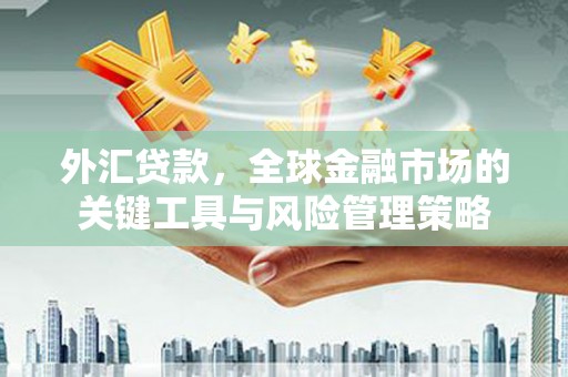 松溪外汇贷款，全球金融市场的关键工具与风险管理策略