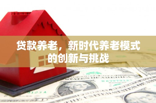 松溪贷款养老，新时代养老模式的创新与挑战