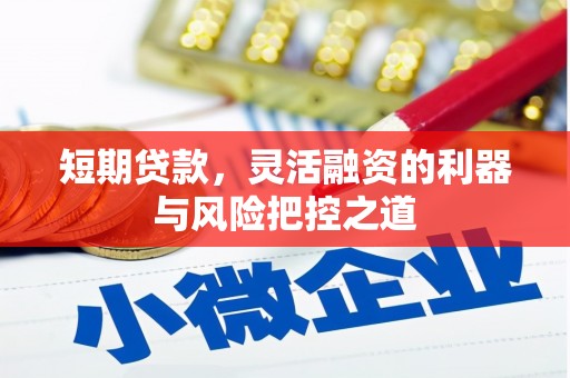 松溪短期贷款，灵活融资的利器与风险把控之道