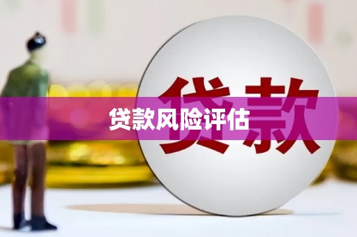 松溪贷款风险评估