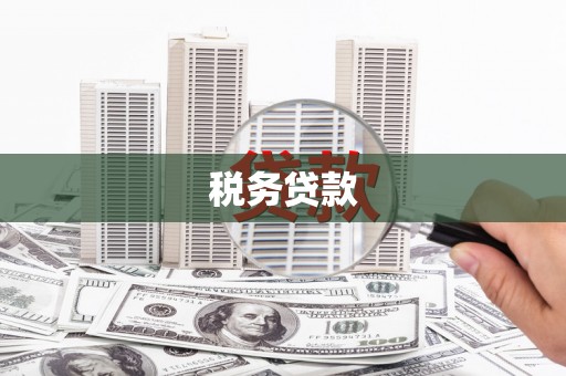 松溪税务贷款