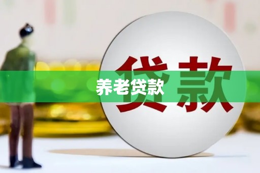 松溪养老贷款