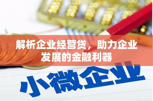 松溪解析企业经营贷，助力企业发展的金融利器