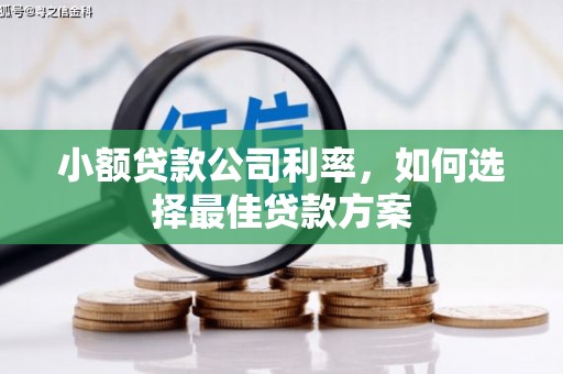 松溪小额贷款公司利率，如何选择最佳贷款方案