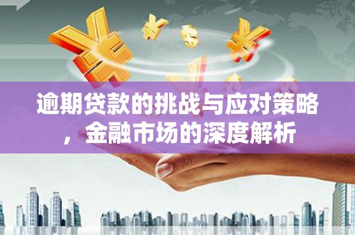 松溪逾期贷款的挑战与应对策略，金融市场的深度解析