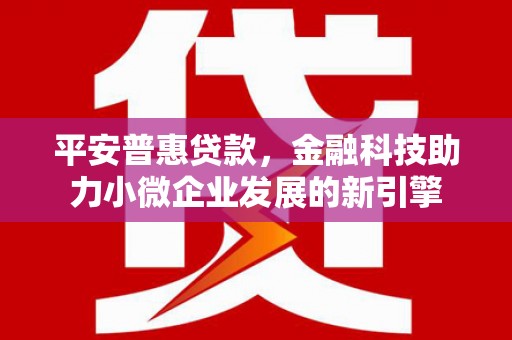 松溪平安普惠贷款，金融科技助力小微企业发展的新引擎