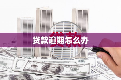 松溪贷款逾期怎么办