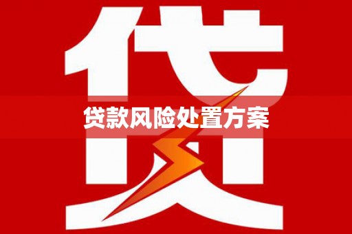 松溪贷款风险处置方案