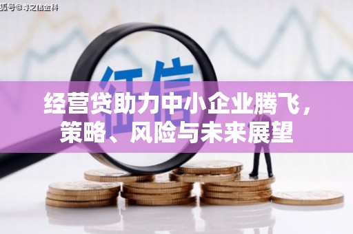 松溪经营贷助力中小企业腾飞，策略、风险与未来展望