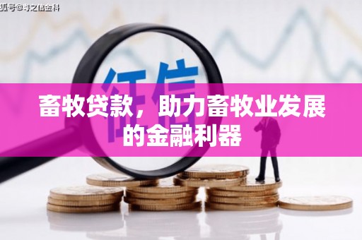 松溪畜牧贷款，助力畜牧业发展的金融利器