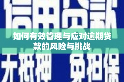 松溪如何有效管理与应对逾期贷款的风险与挑战
