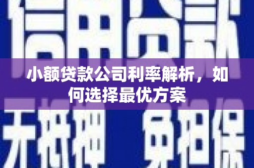 松溪小额贷款公司利率解析，如何选择最优方案