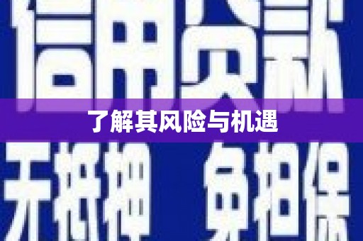 松溪了解其风险与机遇