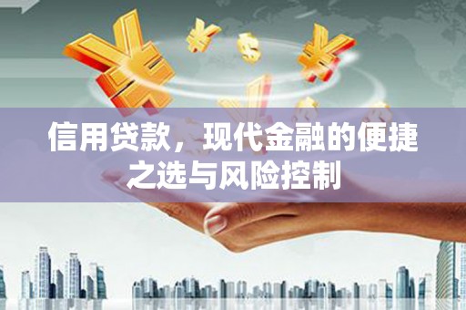 松溪信用贷款，现代金融的便捷之选与风险控制