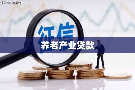 松溪养老产业贷款