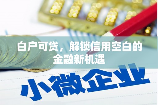 松溪白户可贷，解锁信用空白的金融新机遇