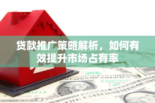 松溪贷款推广策略解析，如何有效提升市场占有率