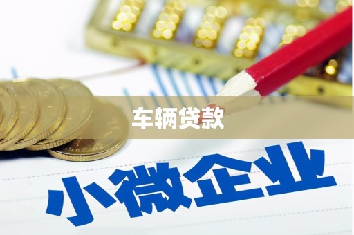 松溪车辆贷款