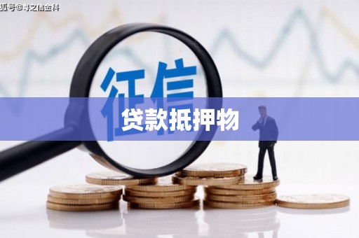 松溪贷款抵押物