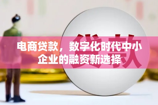 松溪电商贷款，数字化时代中小企业的融资新选择
