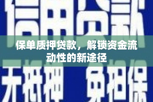 松溪保单质押贷款，解锁资金流动性的新途径