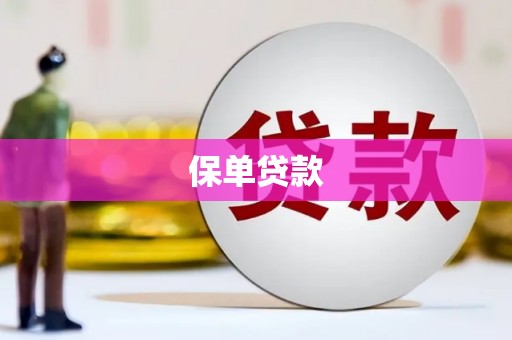 松溪保单贷款