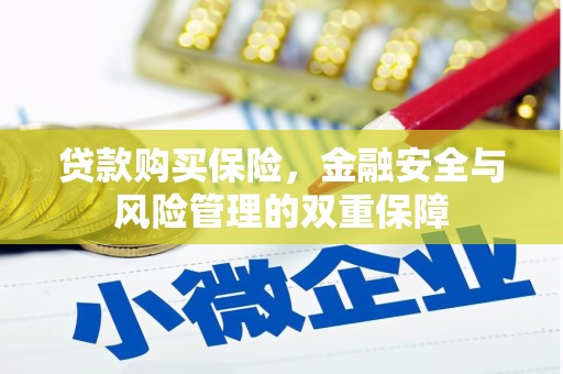 松溪贷款购买保险，金融安全与风险管理的双重保障