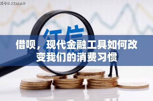 松溪借呗，现代金融工具如何改变我们的消费习惯
