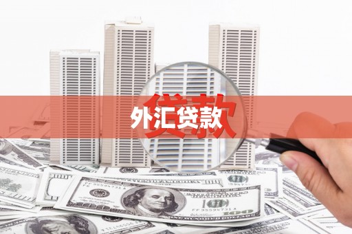 松溪外汇贷款