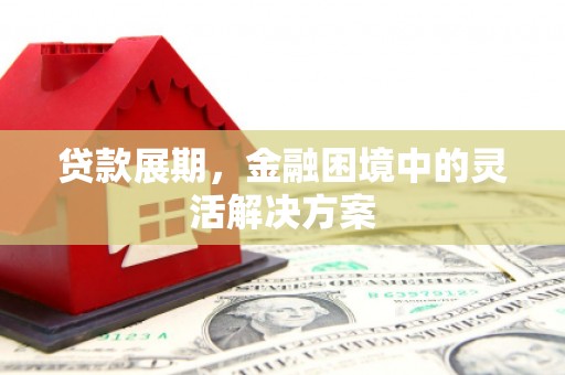松溪贷款展期，金融困境中的灵活解决方案
