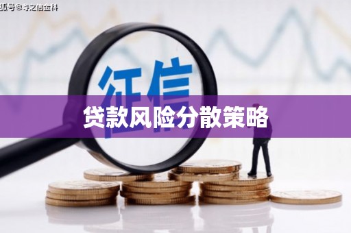 松溪贷款风险分散策略