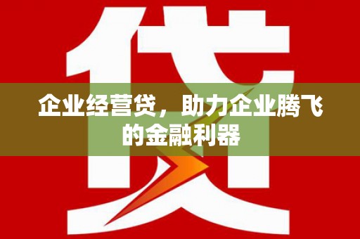 松溪企业经营贷，助力企业腾飞的金融利器