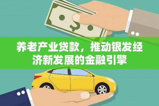 松溪养老产业贷款，推动银发经济新发展的金融引擎