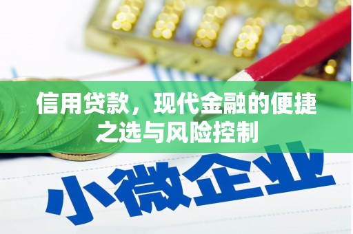 松溪信用贷款，现代金融的便捷之选与风险控制