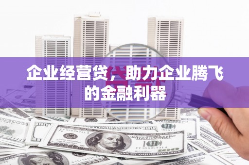 松溪企业经营贷，助力企业腾飞的金融利器