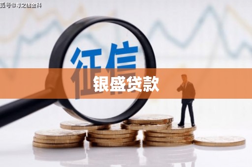松溪银盛贷款