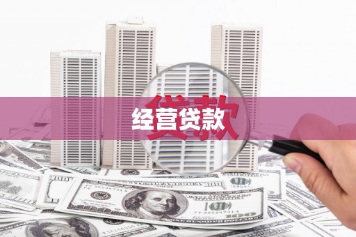 松溪经营贷款