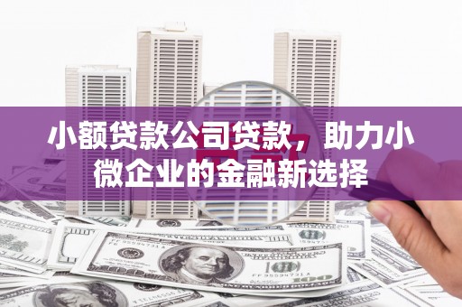 松溪小额贷款公司贷款，助力小微企业的金融新选择