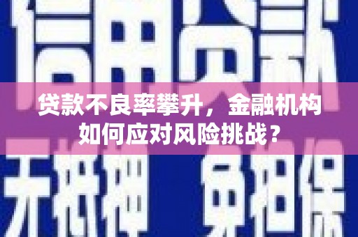 松溪贷款不良率攀升，金融机构如何应对风险挑战？