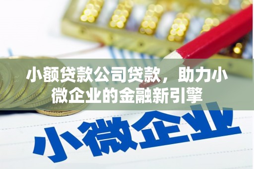 松溪小额贷款公司贷款，助力小微企业的金融新引擎