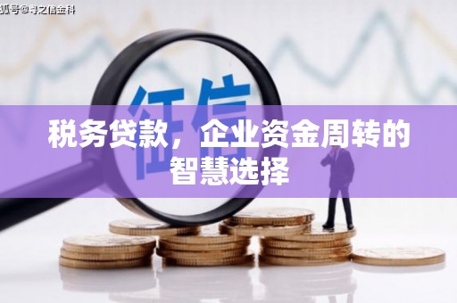 松溪税务贷款，企业资金周转的智慧选择