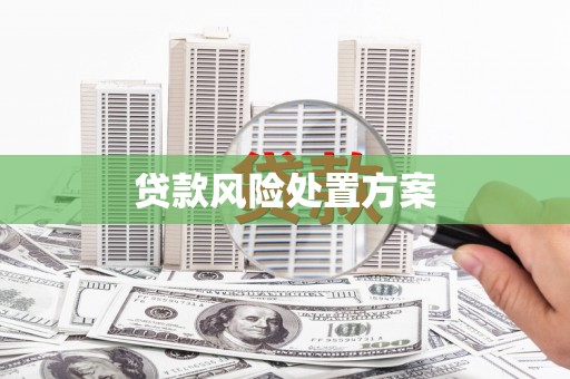 松溪贷款风险处置方案